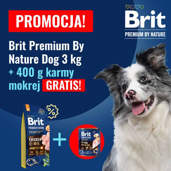 PROMOCJA!
