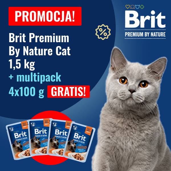 PROMOCJA!